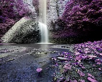 EOS 1DX_AI5X3690b__Fotomania