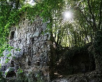 EOS 1DX_AI5X3712__Fotomania