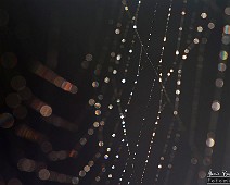 5dmk2_03159__Fotomania