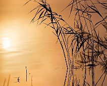 5dmk2_03285__Fotomania