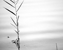 5dmk2_03287b__Fotomania