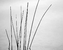 5dmk2_03288b__Fotomania