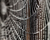 5dmk2_03357__Fotomania