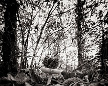 5dmk2_03423__Fotomania