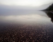 5dmk2_03431__Fotomania