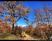 DDP_7258_59_60_tonemapped__Alessiowlf