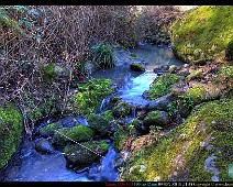 DDP_7324_5_6_tonemapped__Alessiowlf