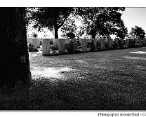 5dM2_10_8042_77_07__Alessiowlf