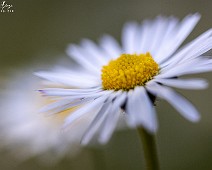 1B3A0150__Fotomania