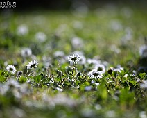 _I5X1793__Fotomania
