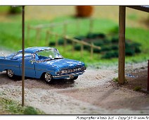 _MG_4312__Alessiowlf