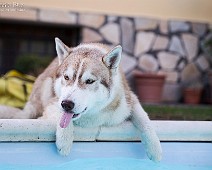1DX_0394__Fotomania