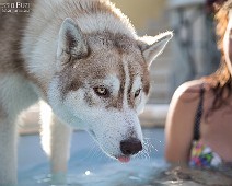 1DX_0637__Fotomania