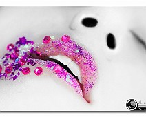 _MG_1222__Fotomania