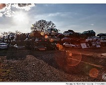 137__Fotomania