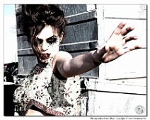 5dmk2_4374__Fotomania